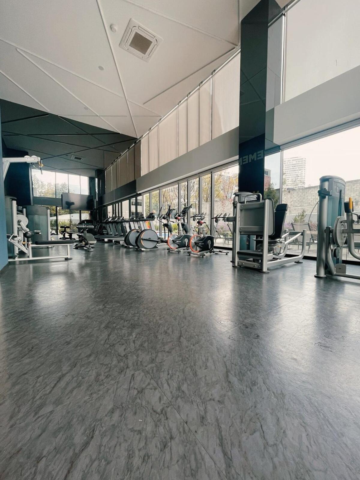 Sunlit Prime Location In Polanco Fast Wifi * Mexiko-Stadt